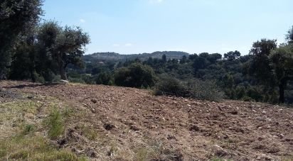 Terrain à bâtir à Chamusca e Pinheiro Grande de 712 m²