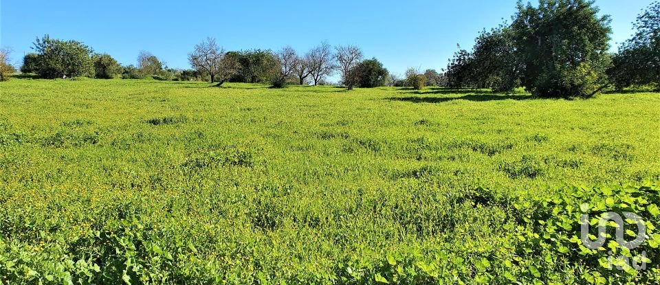 Building land in Luz de Tavira e Santo Estêvão of 15,954 m²