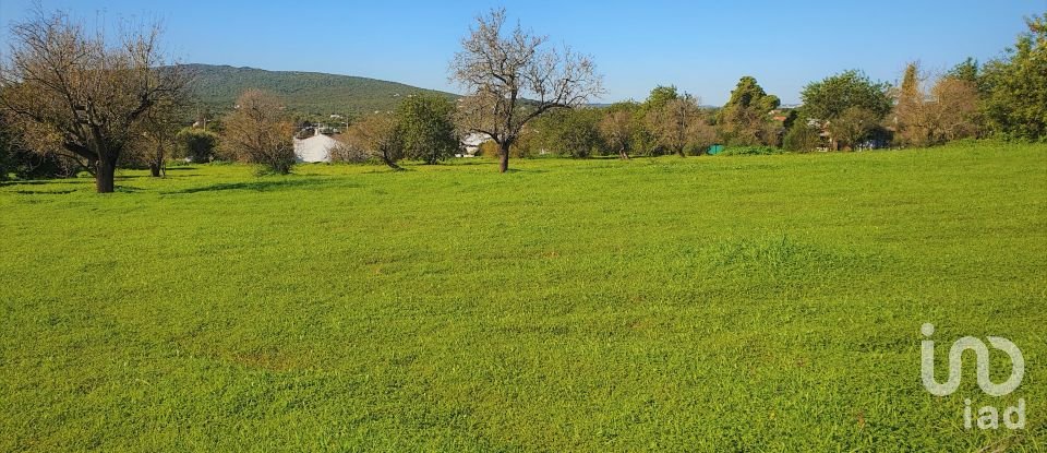 Building land in Luz de Tavira e Santo Estêvão of 15,954 m²