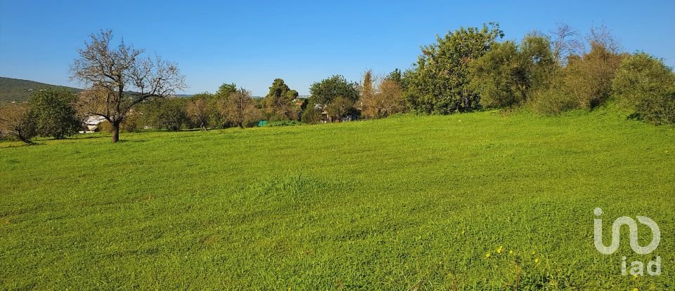 Building land in Luz de Tavira e Santo Estêvão of 15,954 m²