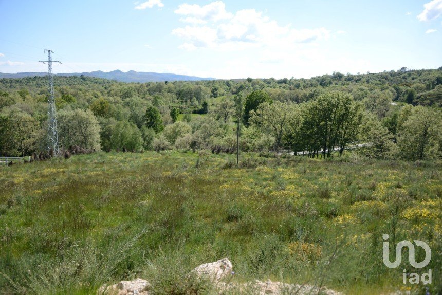 Terrain à Chã de 3 500 m²