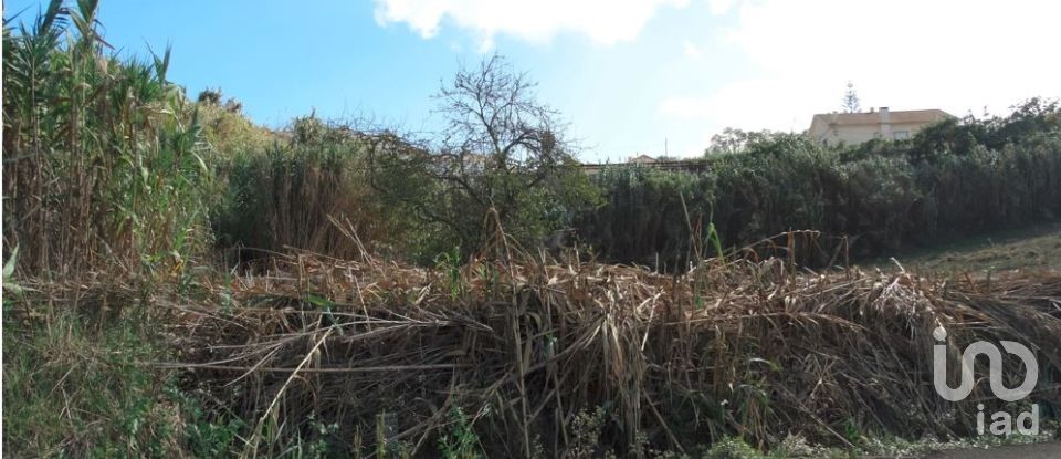 Terrain à Santo Isidoro de 1 194 m²