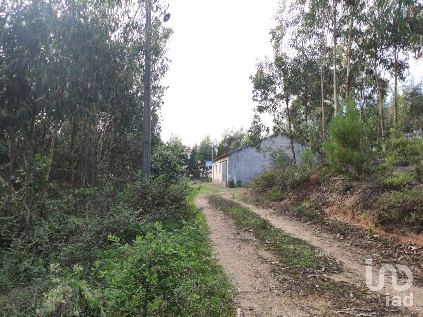 Terreno em Landal de 8 490 m²