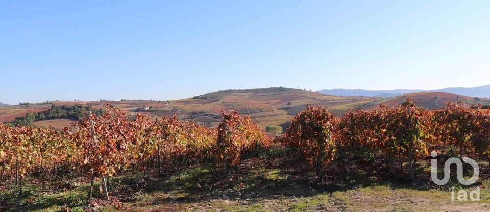 Terreno em Castedo e Cotas de 25 000 m²