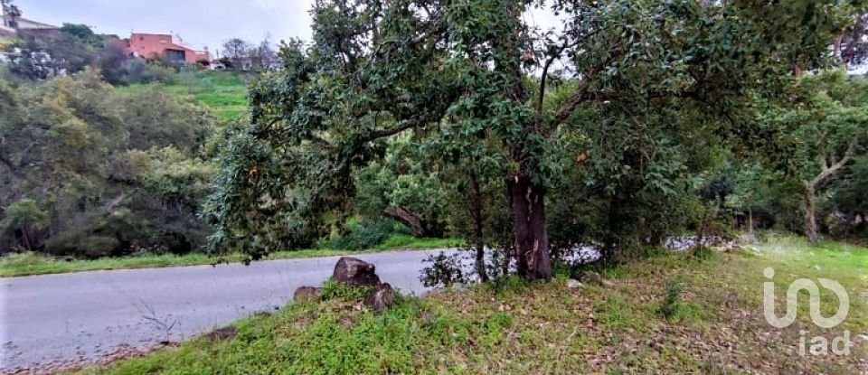 Terreno em São Brás de Alportel de 980 m²