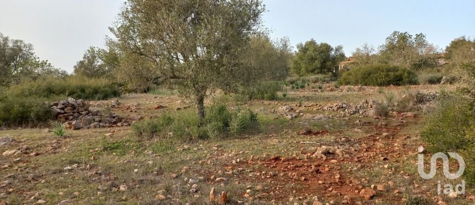 Maison de campagne T1 à São Bartolomeu de Messines de 194 m²