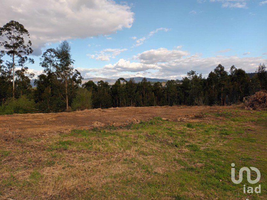 Terreno para construção em Reboreda e Nogueira de 3 603 m²