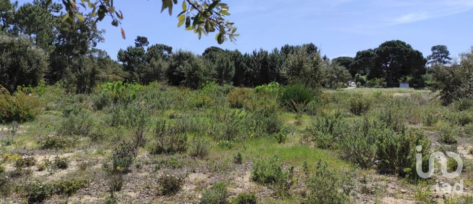 Terreno em Sesimbra (Castelo) de 5 000 m²