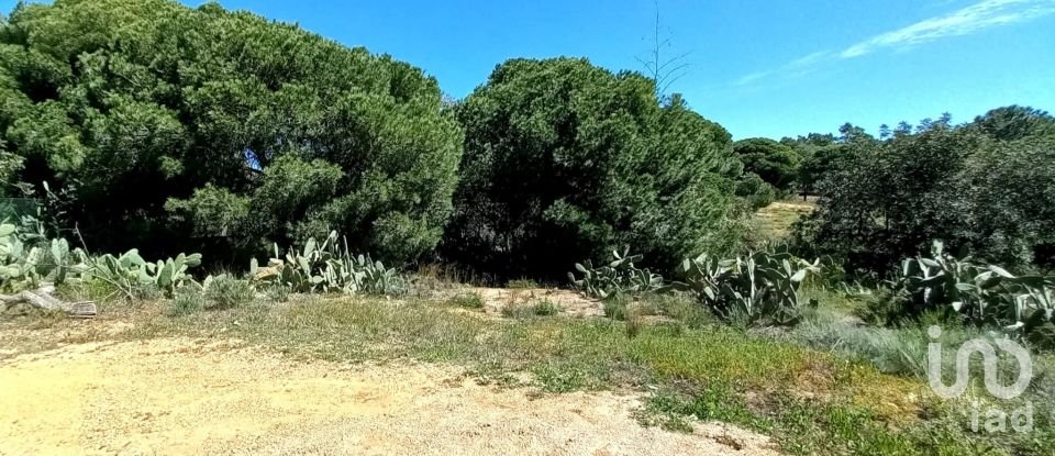 Terreno em Luz de Tavira e Santo Estêvão de 1 530 m²