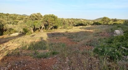 Terreno em Santa Bárbara de Nexe de 1 880 m²