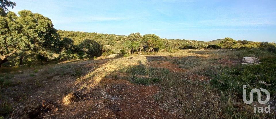 Land in Santa Bárbara de Nexe of 1,880 m²