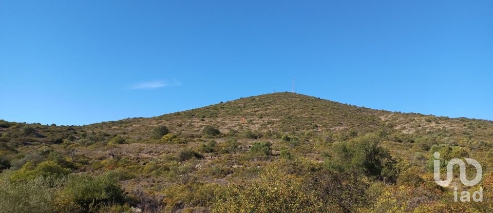 Terreno em Moncarapacho e Fuseta de 51 840 m²