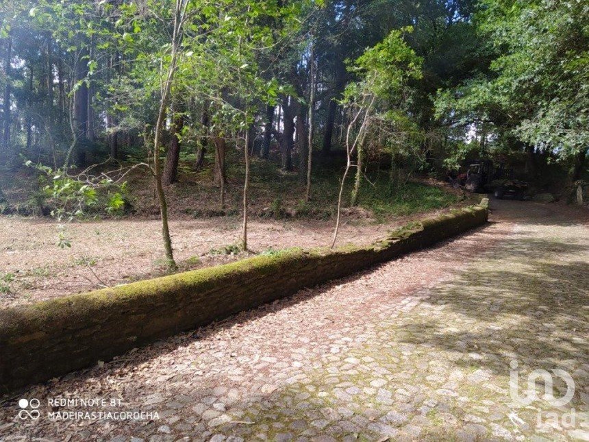 Terreno para construção em Seixas de 1 934 m²