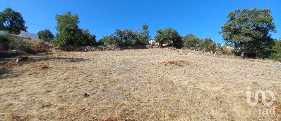 Terreno para construção em Querença, Tôr e Benafim de 1 047 m²