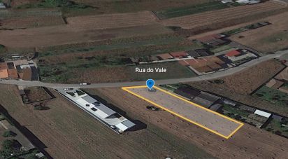 Building land in Amor of 1,277 m²