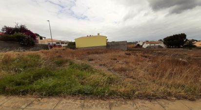 Terrain à Porto Santo de 485 m²