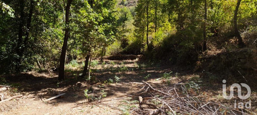 Terreno em Pedrógão Grande de 20 350 m²