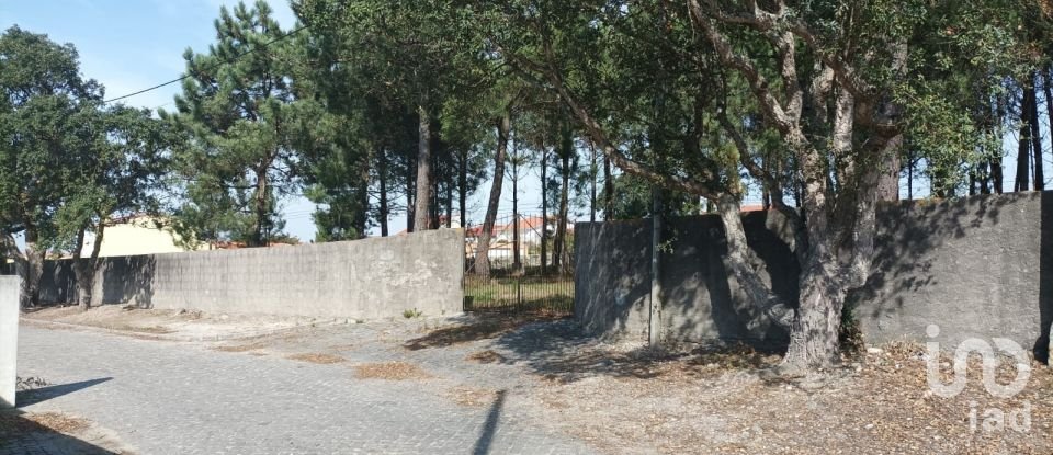 Terreno em Antas de 5 630 m²