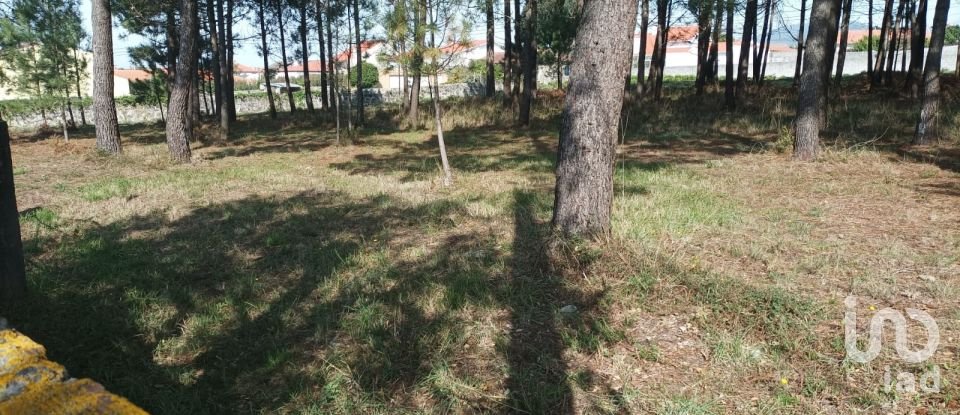 Terreno em Antas de 5 630 m²