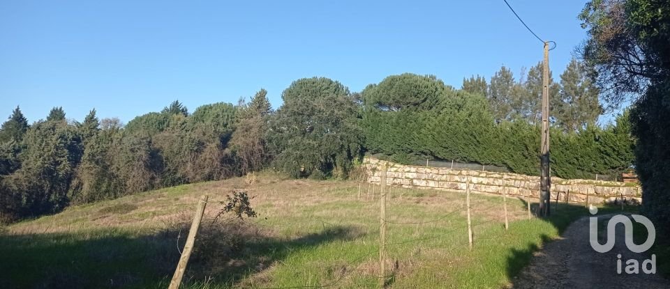 Building land in Vermelha of 3,440 m²