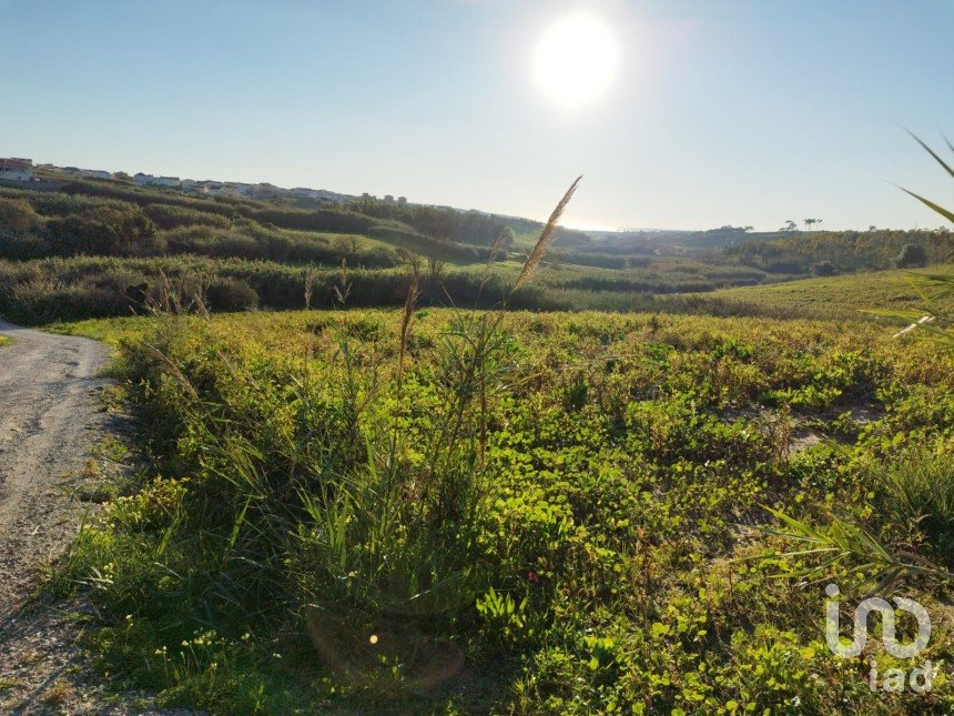 Terreno em Lourinhã e Atalaia de 7 960 m²