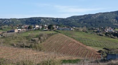 Building land in Lamas e Cercal of 7,600 m²