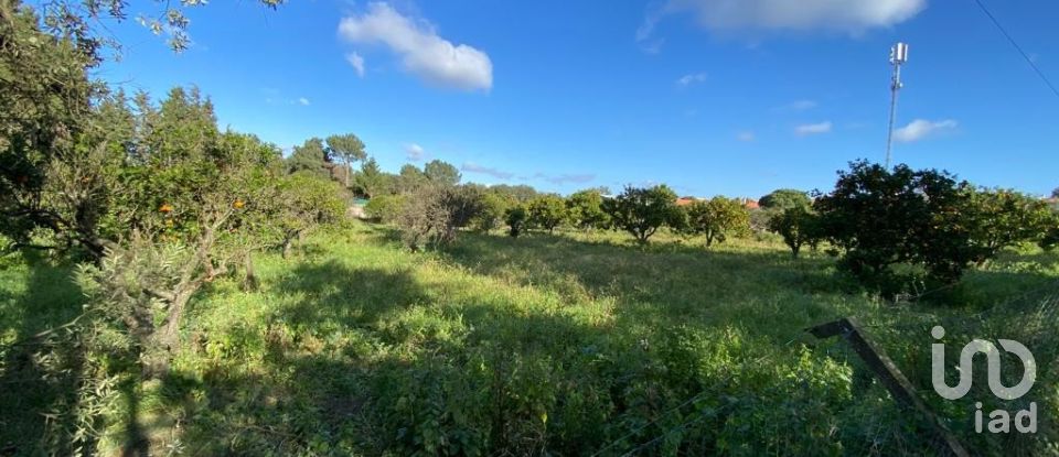 Terreno em Azeitão (São Lourenço e São Simão) de 1 726 m²