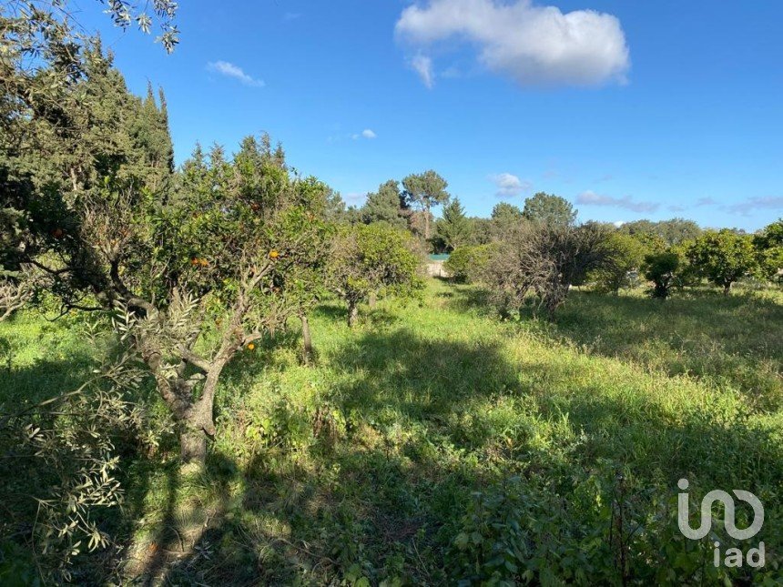 Terreno em Azeitão (São Lourenço e São Simão) de 1 726 m²