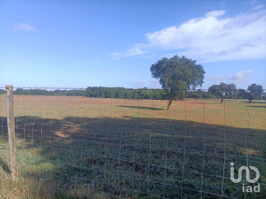 Terrain agricole à Pegões de 332 860 m²