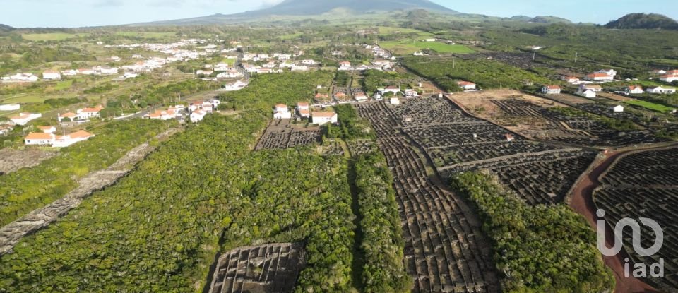 Terreno em Criação Velha de 6 776 m²