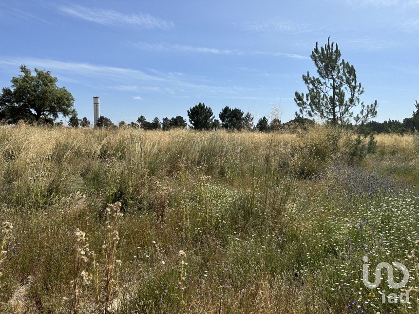 Terreno em Pegões de 9 500 m²