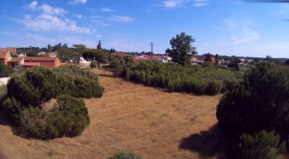 Land in Arrouquelas of 10,112 m²