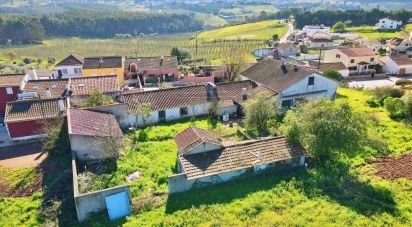 Country house T3 in Lamas e Cercal of 276 m²