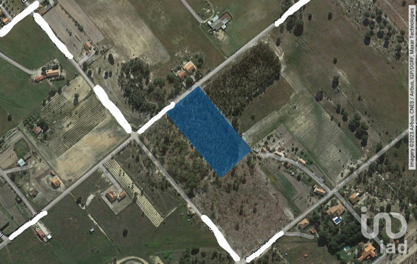 Terreno para construção em Branca de 12 500 m²