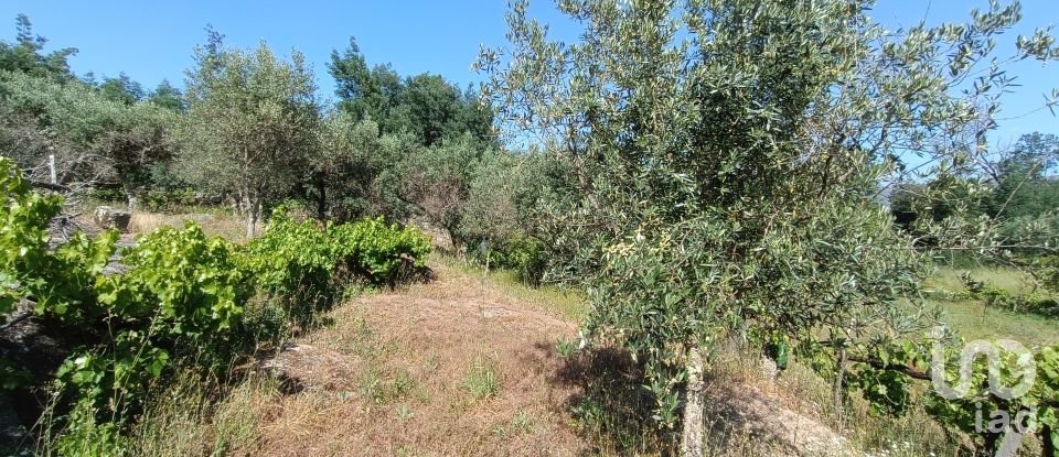 Terrain agricole à Moimenta da Serra e Vinhó de 2 126 m²