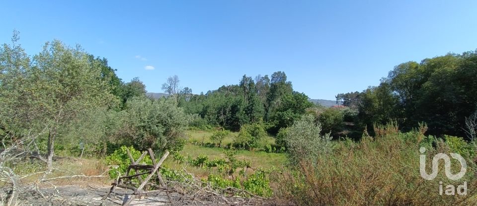 Terrain agricole à Moimenta da Serra e Vinhó de 2 126 m²