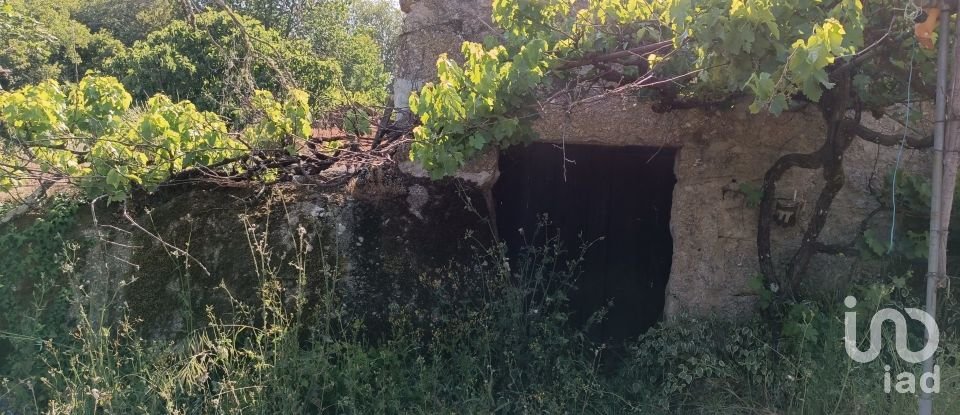 Terrain agricole à Moimenta da Serra e Vinhó de 2 126 m²