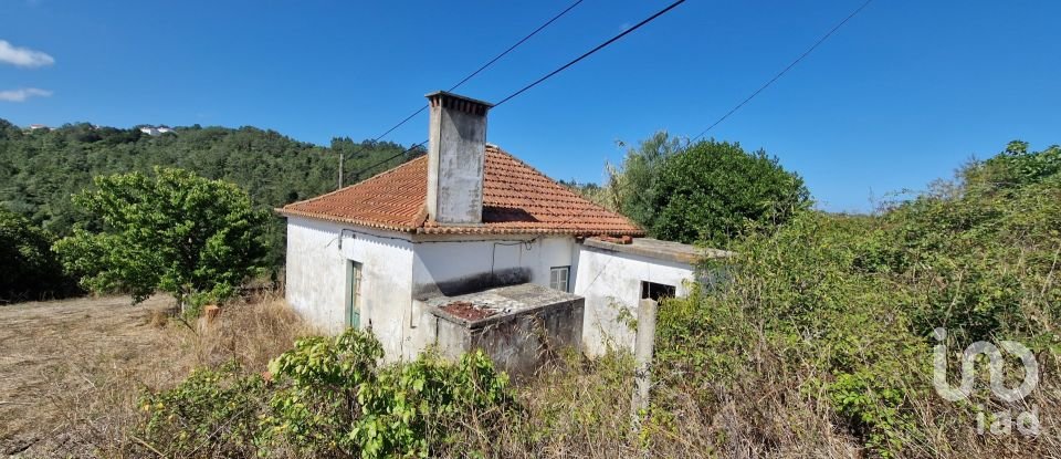 Casa de aldeia T0 em Santo Isidoro de 163 m²