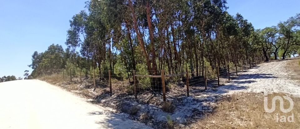 Terreno para construção em Branca de 12 500 m²