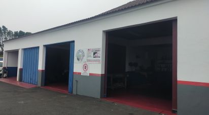 Shop / premises commercial in Piedade of 585 m²