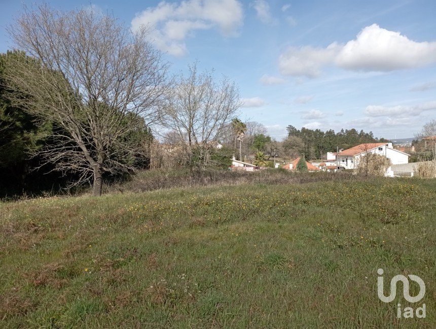 Terrain à Batalha de 10 712 m²