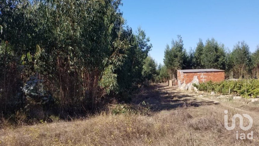 Agricultural land in São Bartolomeu dos Galegos e Moledo of 6,200 m²