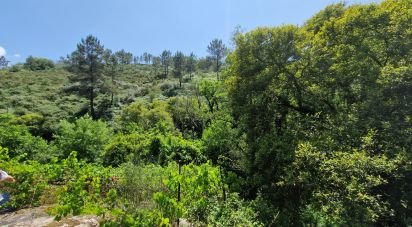 Building land in Panque of 2,530 m²