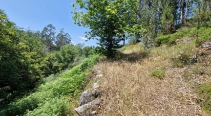 Terreno para construção em Panque de 2 530 m²