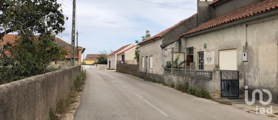 Terreno para construção em Monte Real e Carvide de 2 160 m²