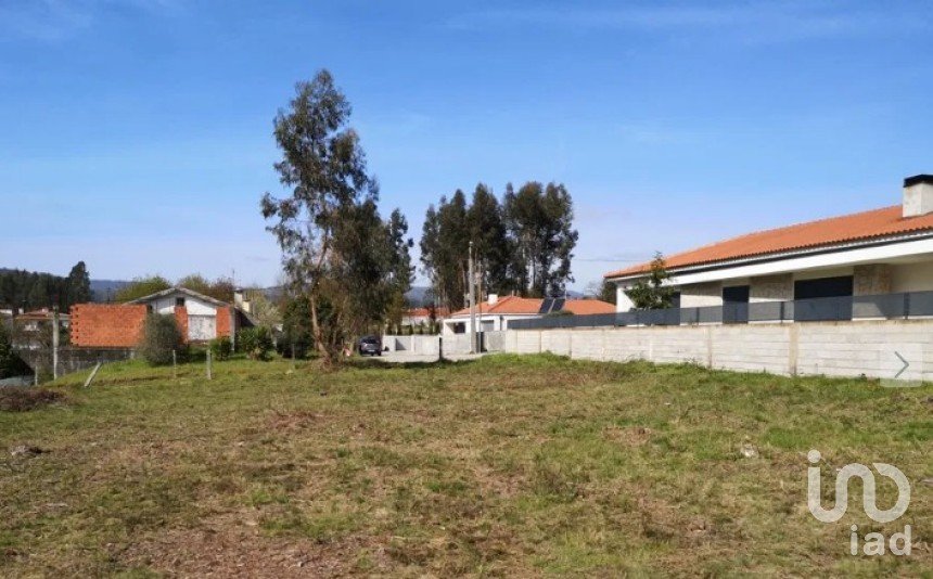 Terreno em Vila Verde e Barbudo de 6 836 m²