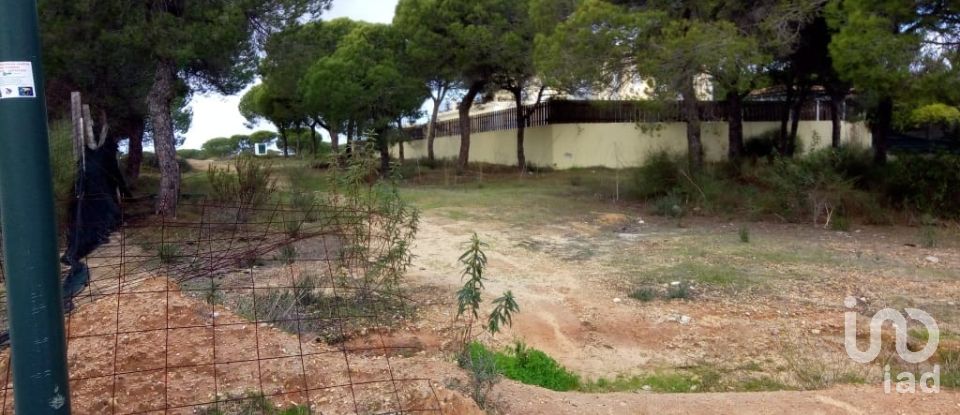 Building land in Almancil of 960 m²