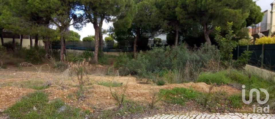 Building land in Almancil of 960 m²