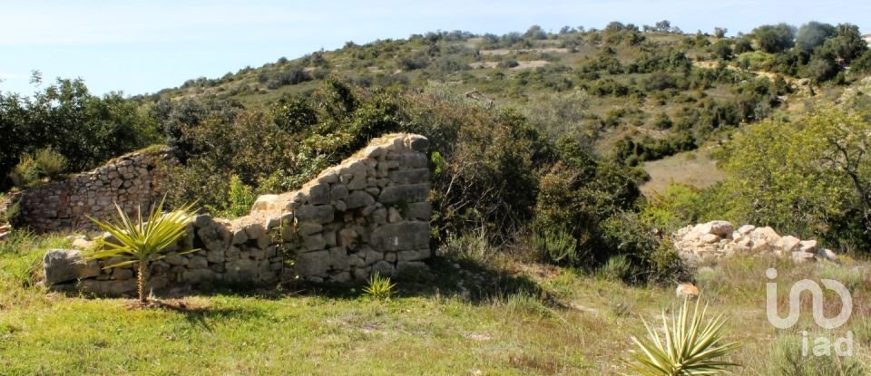 Terreno para construção em São Brás de Alportel de 3 293 m²