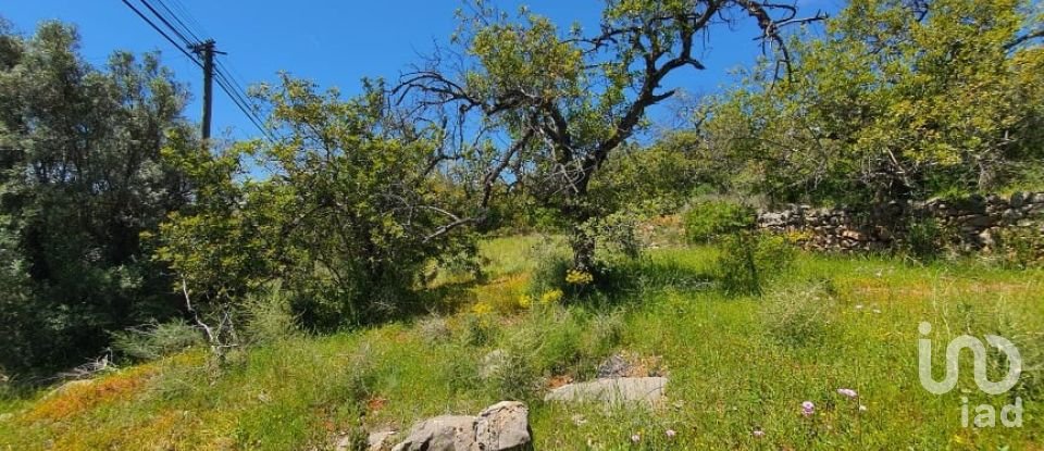 Terreno em Santa Bárbara de Nexe de 3 840 m²